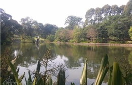 Vườn Thực vật Singapore trở thành Di sản UNESCO